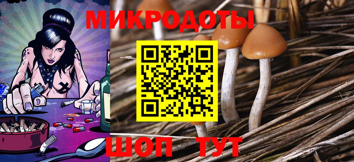 Псилоцибиновые грибы Psilocybine cubensis Ялуторовск