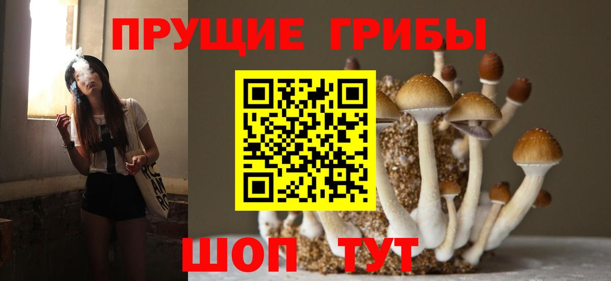 Псилоцибиновые грибы GOLDEN TEACHER  Вход с VPN  где купить наркоту  Ялуторовск 